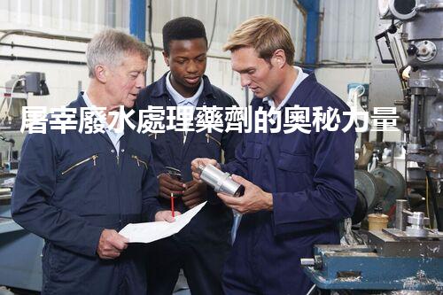 屠宰廢水處理藥劑的奧秘力量，能讓廢水變清泉？